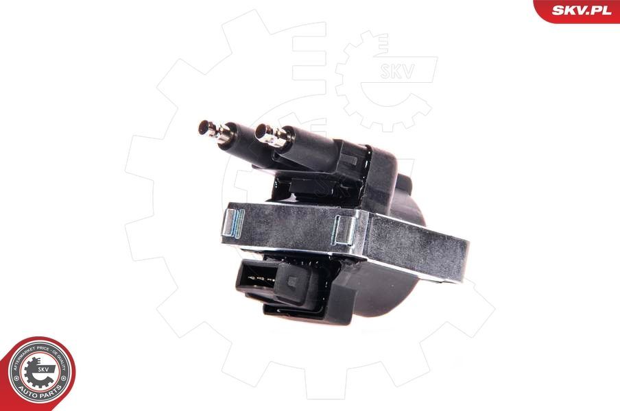 Ritė, uždegimas ESEN SKV 03SKV060