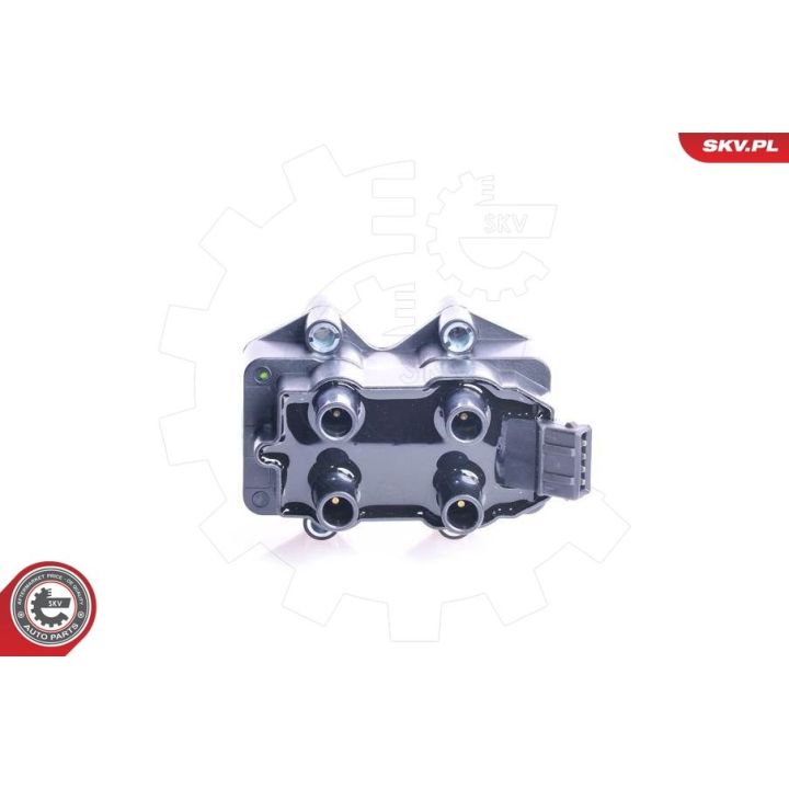 Ritė, uždegimas ESEN SKV 03SKV064