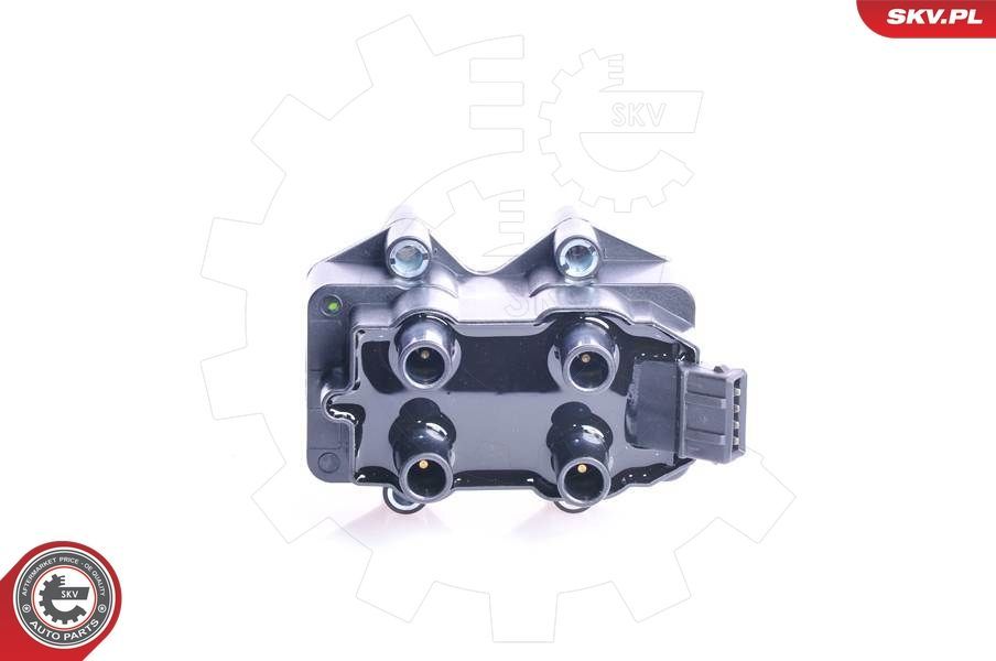 Ritė, uždegimas ESEN SKV 03SKV064