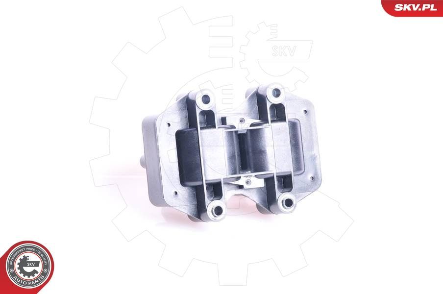 Ritė, uždegimas ESEN SKV 03SKV064