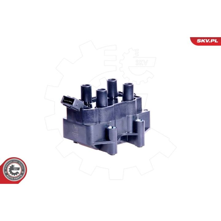 Ritė, uždegimas ESEN SKV 03SKV064