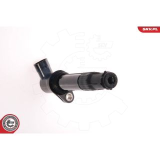 Ritė, uždegimas ESEN SKV 03SKV065