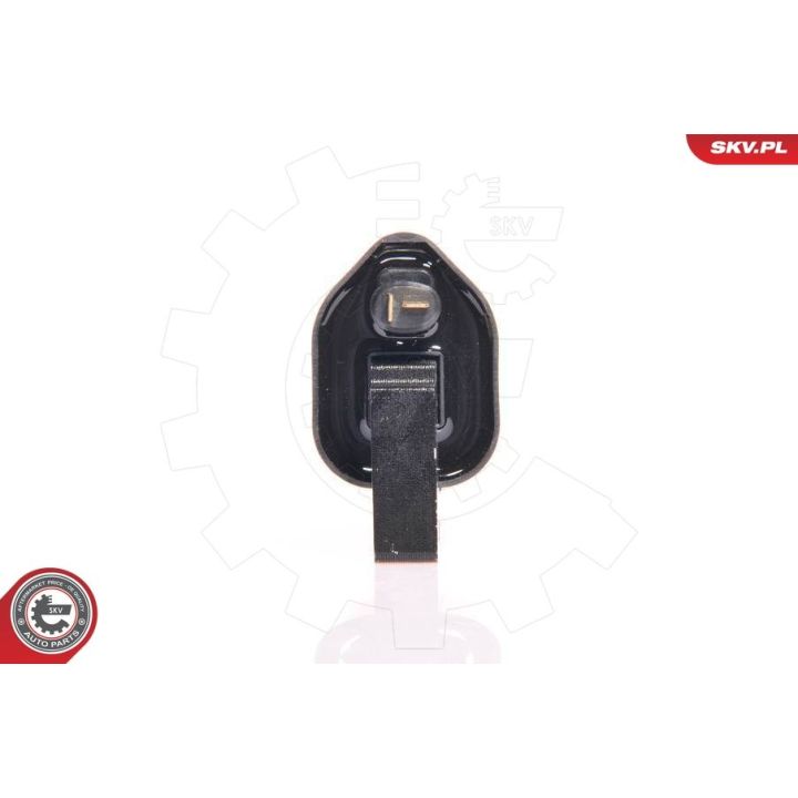 Ritė, uždegimas ESEN SKV 03SKV066