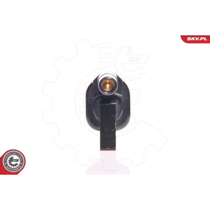 Ritė, uždegimas ESEN SKV 03SKV066