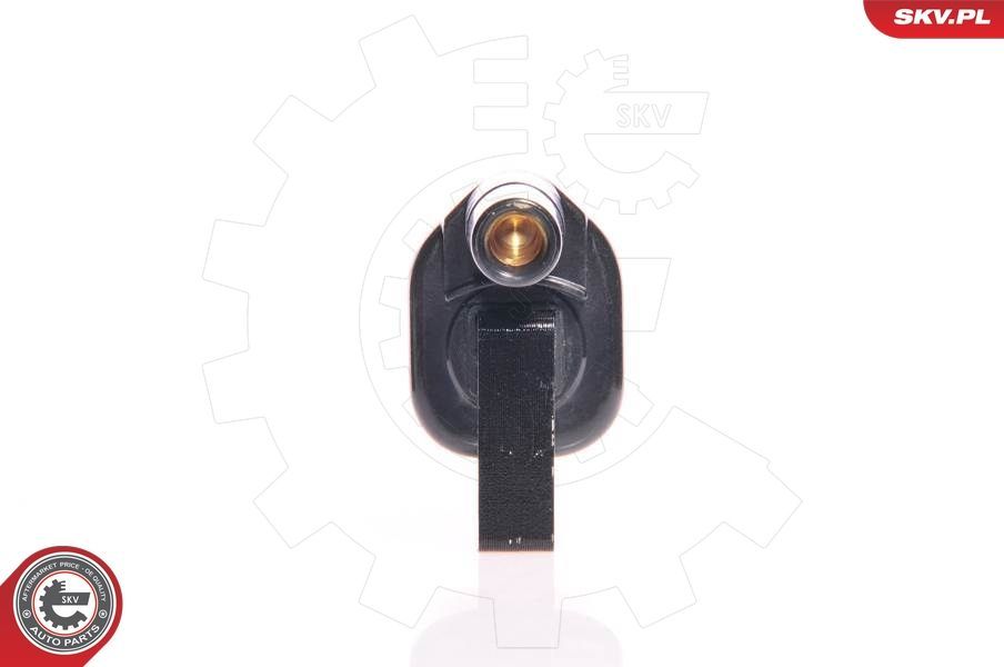 Ritė, uždegimas ESEN SKV 03SKV066