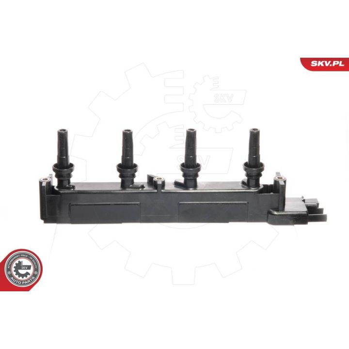 Ritė, uždegimas ESEN SKV 03SKV067