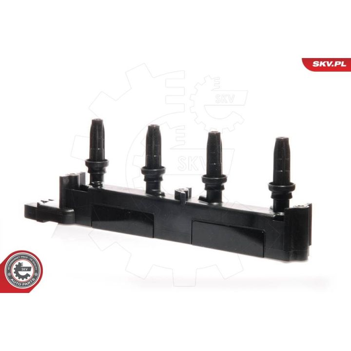 Ritė, uždegimas ESEN SKV 03SKV067