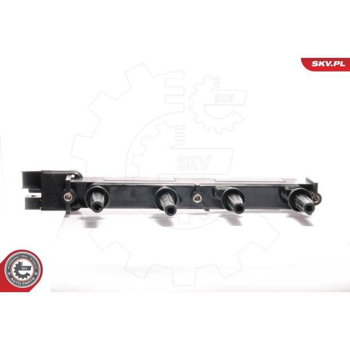 Ritė, uždegimas ESEN SKV 03SKV067