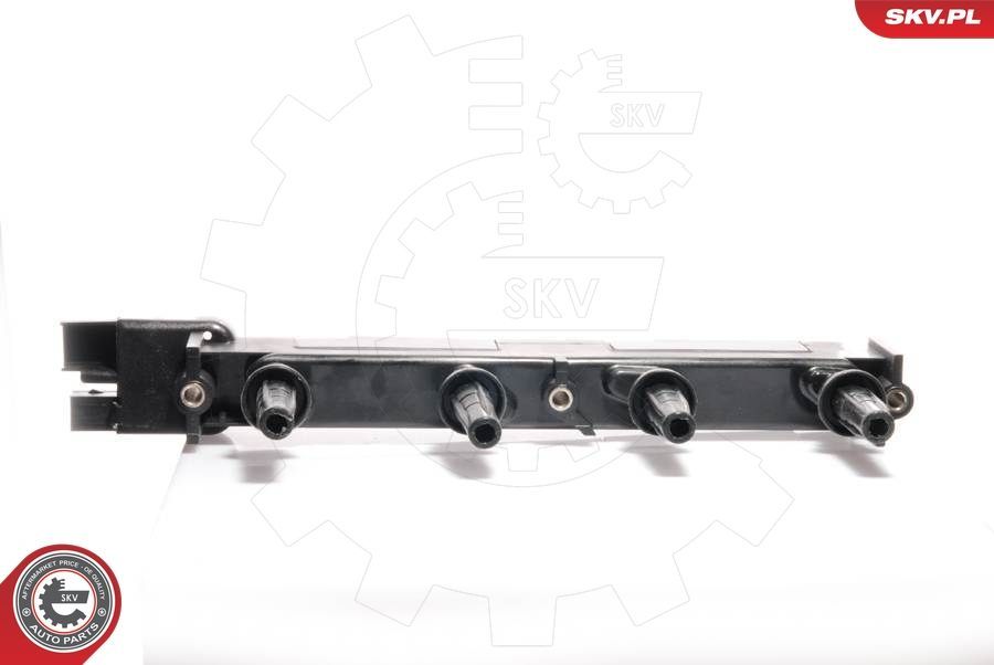 Ritė, uždegimas ESEN SKV 03SKV067