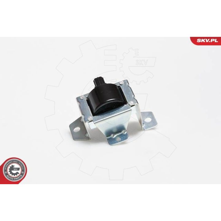 Ritė, uždegimas ESEN SKV 03SKV069