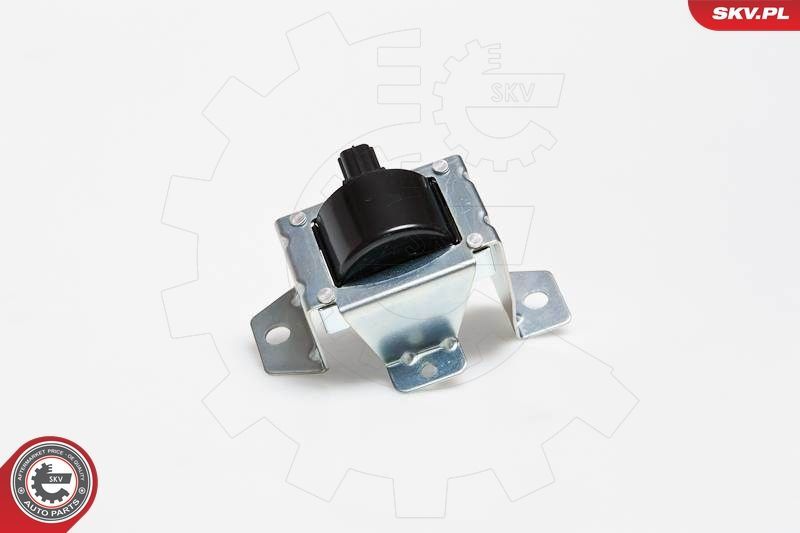 Ritė, uždegimas ESEN SKV 03SKV069