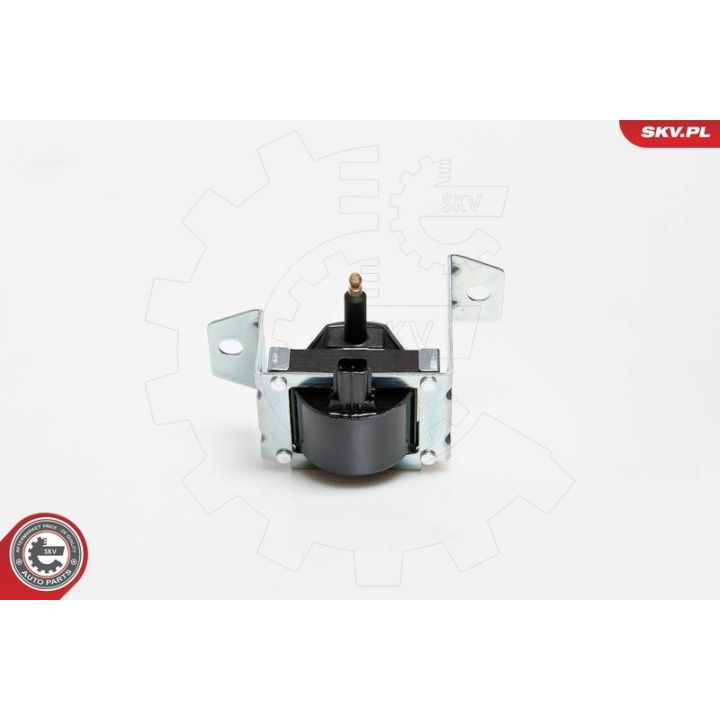 Ritė, uždegimas ESEN SKV 03SKV069