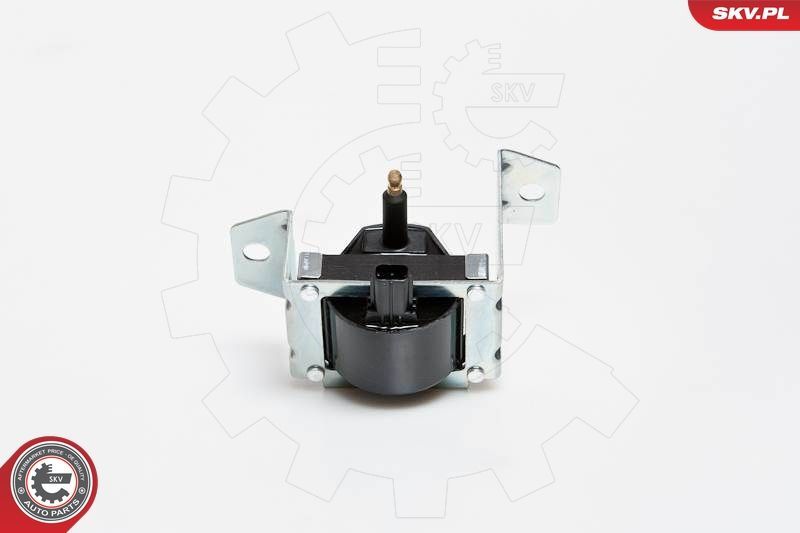 Ritė, uždegimas ESEN SKV 03SKV069