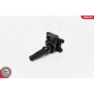 Ritė, uždegimas ESEN SKV 03SKV072