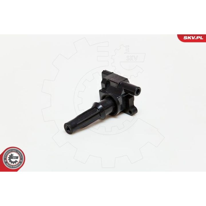 Ritė, uždegimas ESEN SKV 03SKV072