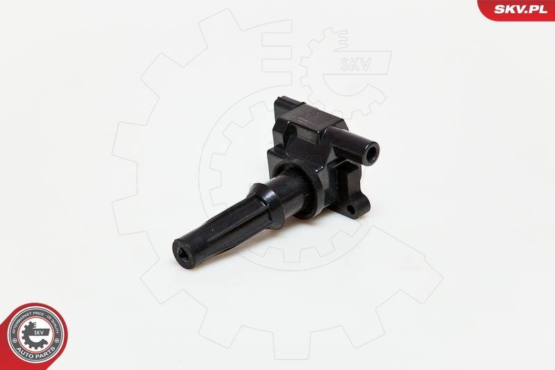 Ritė, uždegimas ESEN SKV 03SKV072