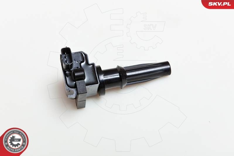 Ritė, uždegimas ESEN SKV 03SKV072