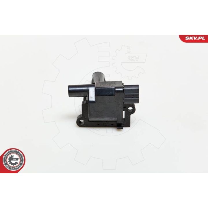 Ritė, uždegimas ESEN SKV 03SKV072