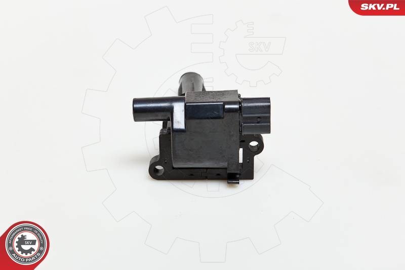 Ritė, uždegimas ESEN SKV 03SKV072