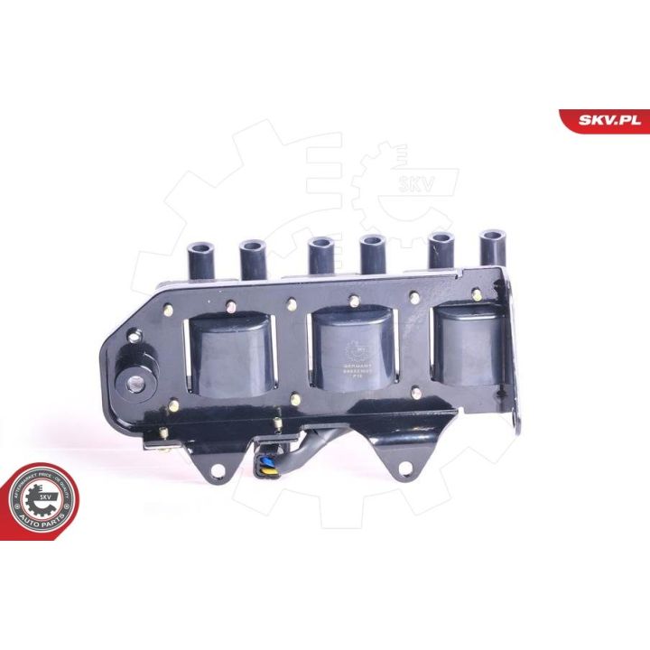 Ritė, uždegimas ESEN SKV 03SKV073