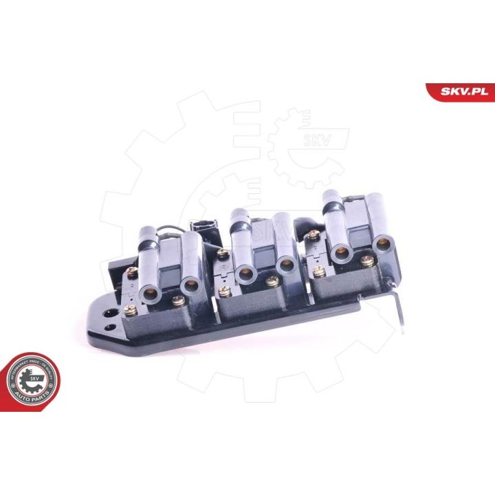 Ritė, uždegimas ESEN SKV 03SKV073