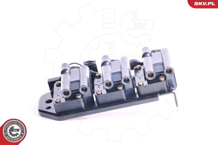 Ritė, uždegimas ESEN SKV 03SKV073