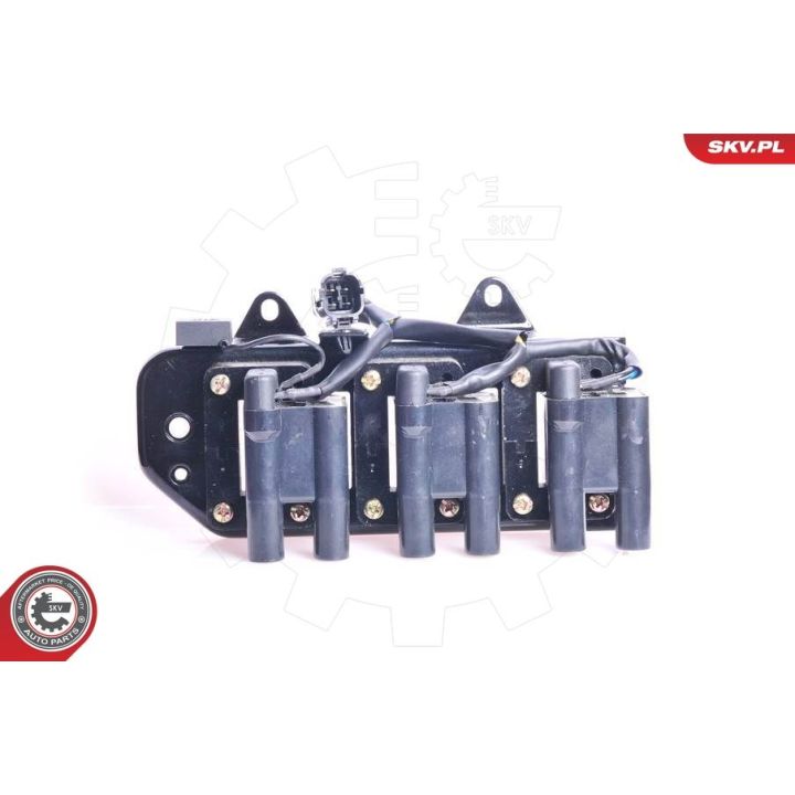 Ritė, uždegimas ESEN SKV 03SKV073