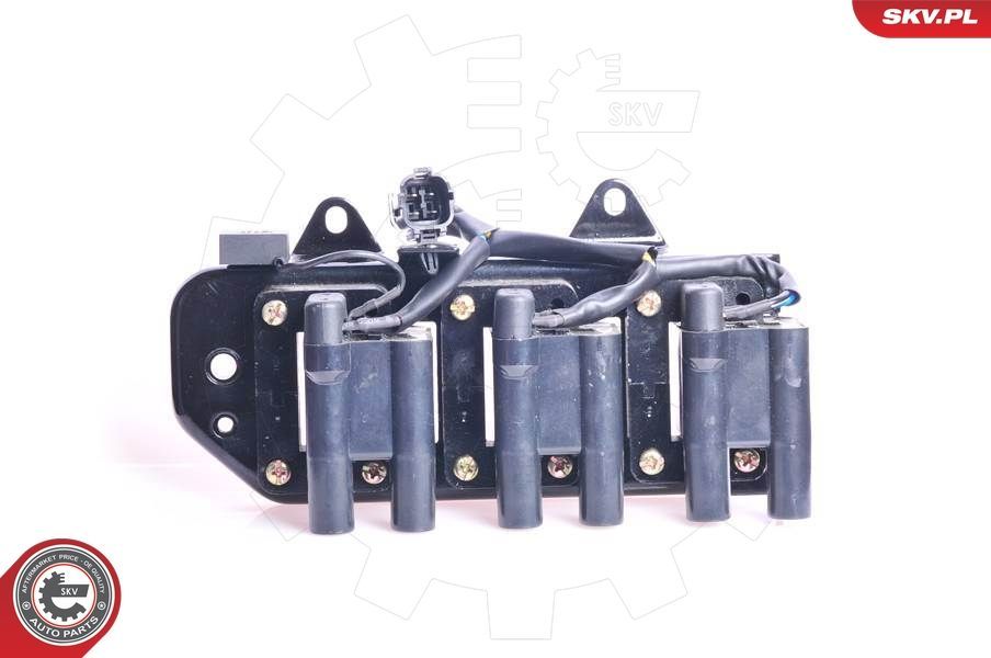 Ritė, uždegimas ESEN SKV 03SKV073