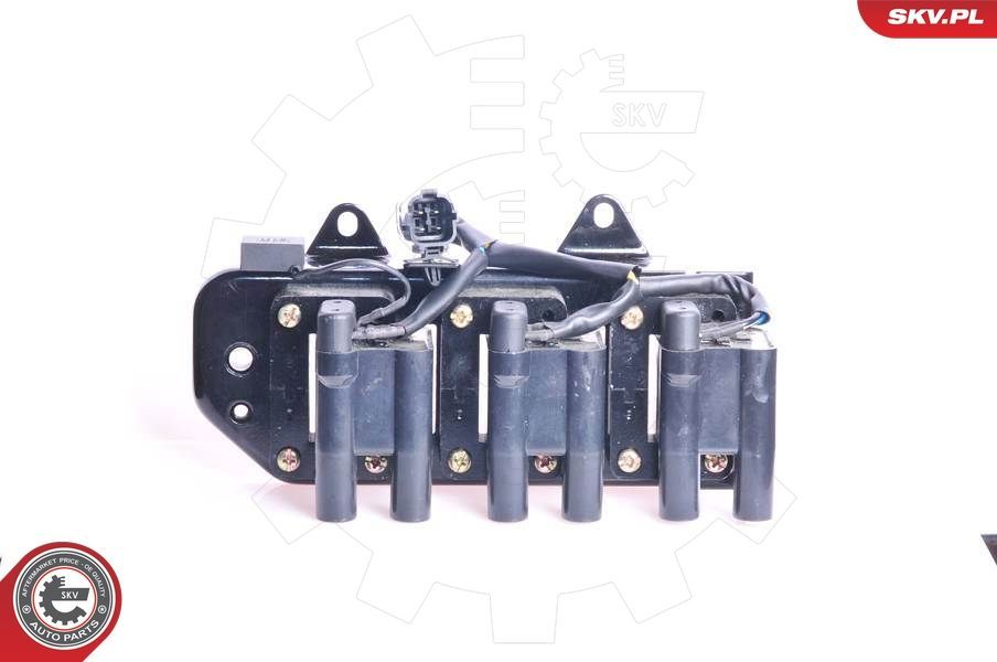 Ritė, uždegimas ESEN SKV 03SKV073