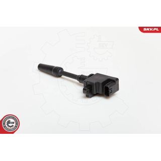 Ritė, uždegimas ESEN SKV 03SKV076