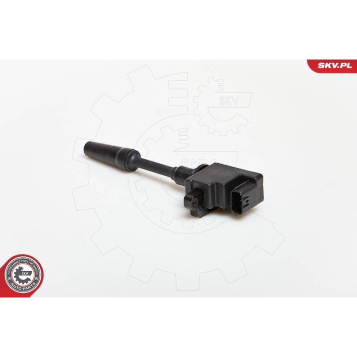 Ritė, uždegimas ESEN SKV 03SKV076