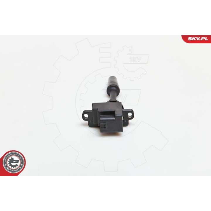 Ritė, uždegimas ESEN SKV 03SKV076