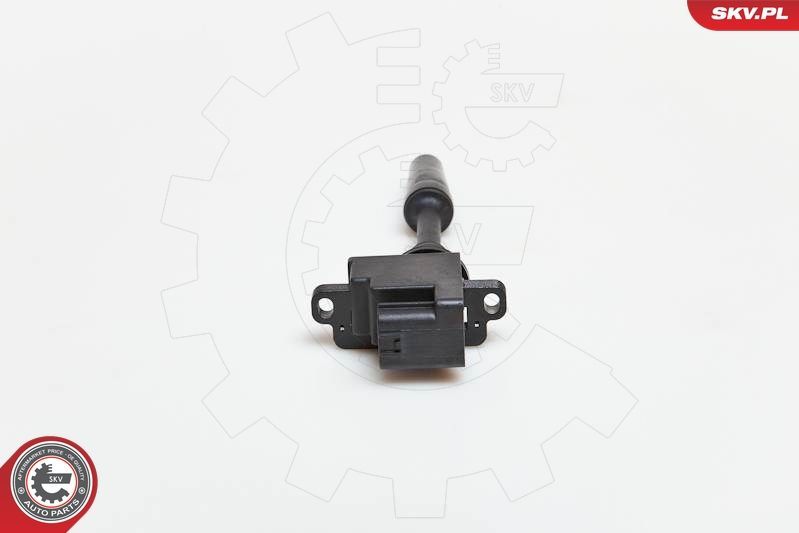 Ritė, uždegimas ESEN SKV 03SKV076