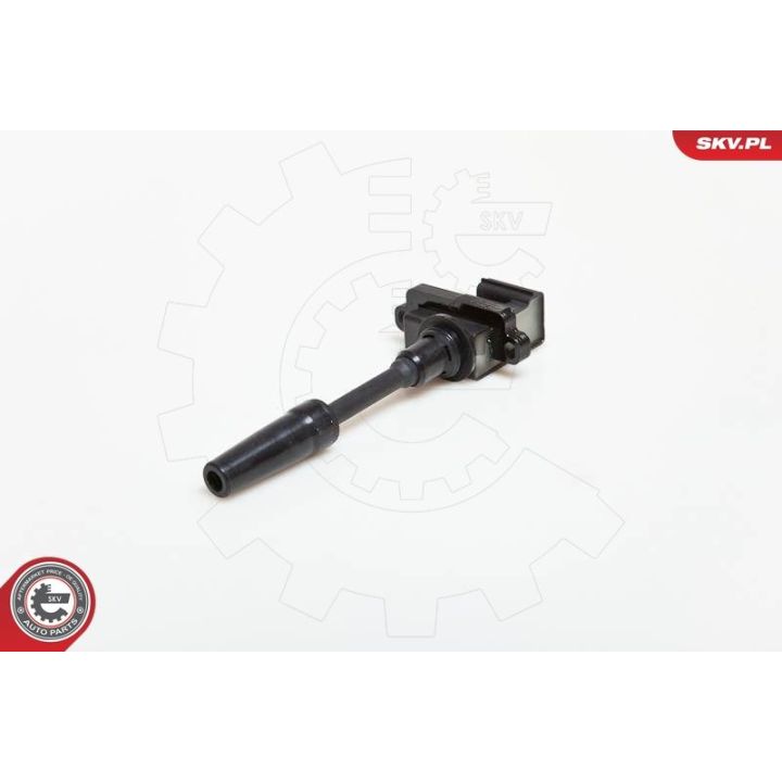 Ritė, uždegimas ESEN SKV 03SKV076