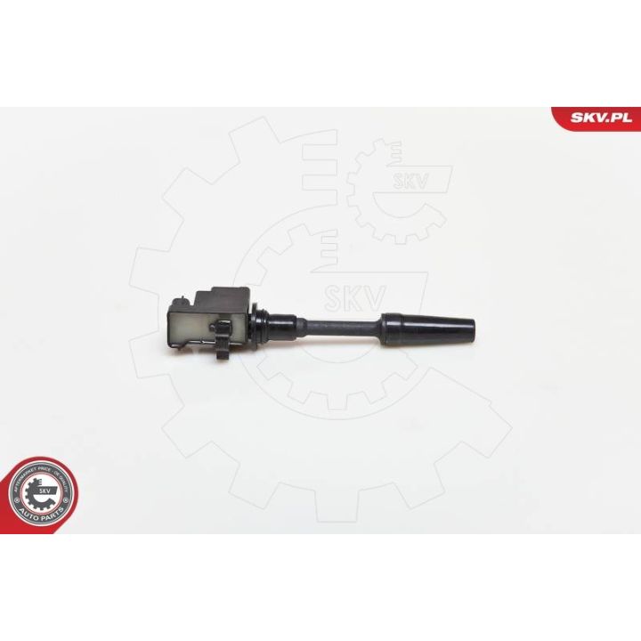 Ritė, uždegimas ESEN SKV 03SKV076