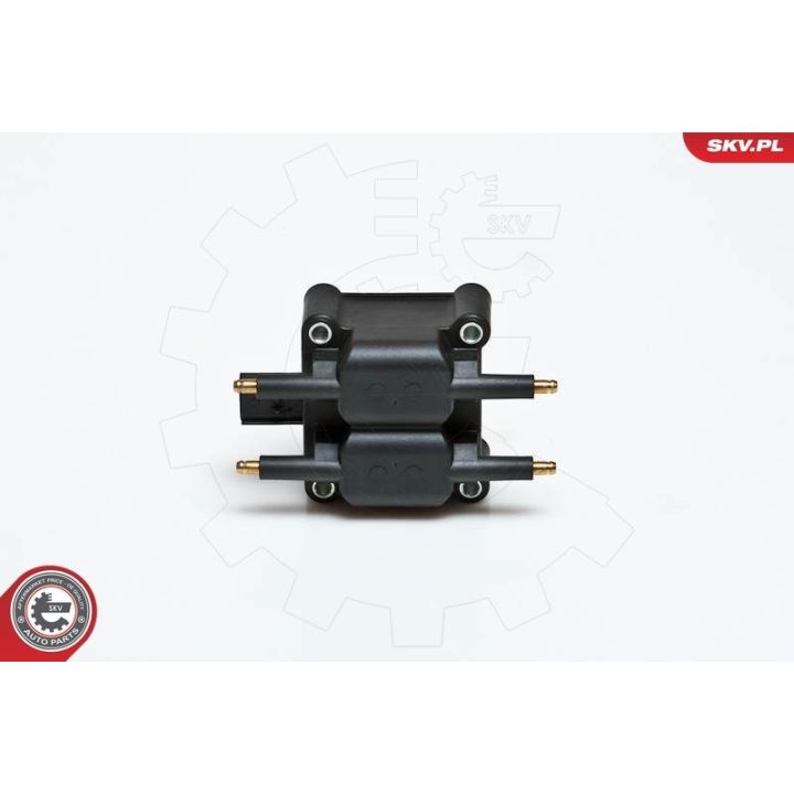 Ritė, uždegimas ESEN SKV 03SKV078