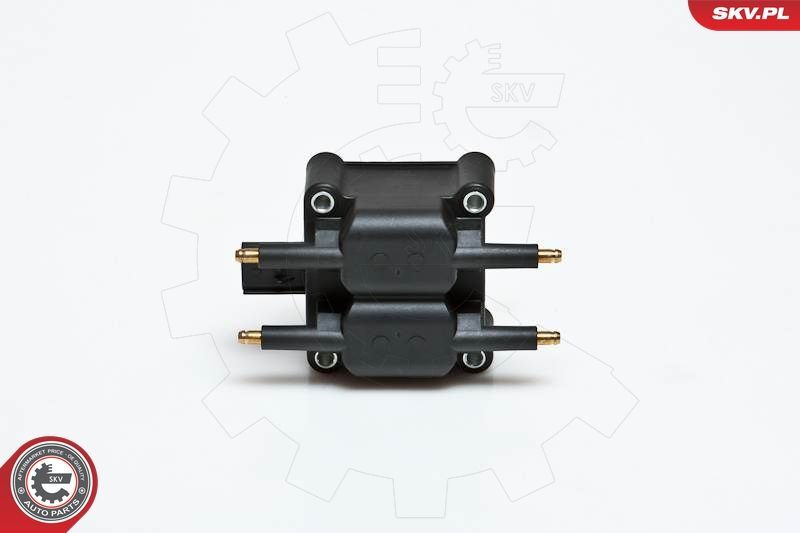 Ritė, uždegimas ESEN SKV 03SKV078