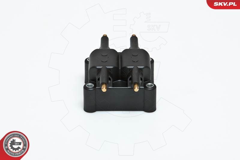 Ritė, uždegimas ESEN SKV 03SKV078