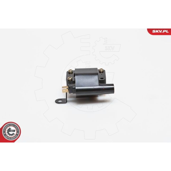 Ritė, uždegimas ESEN SKV 03SKV079