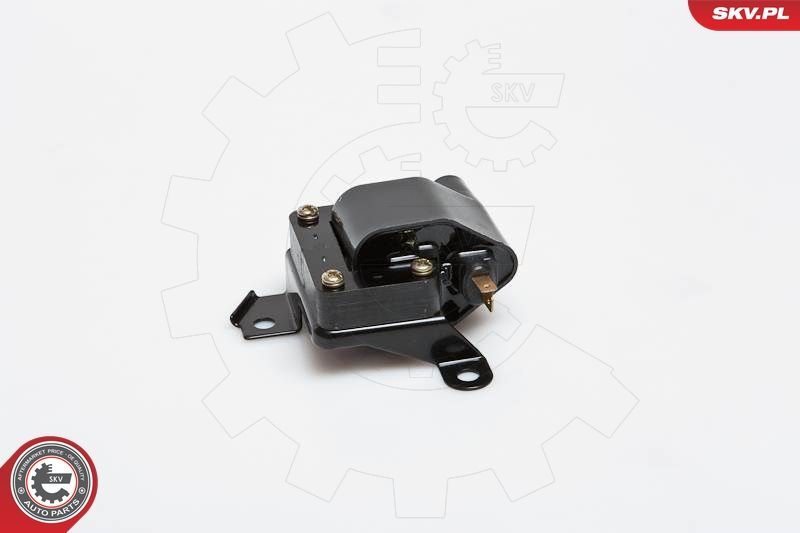 Ritė, uždegimas ESEN SKV 03SKV079