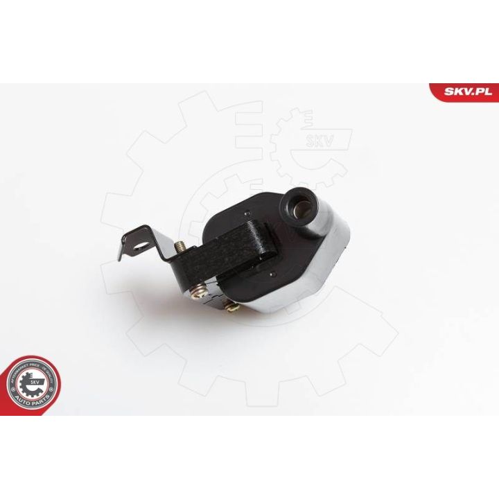 Ritė, uždegimas ESEN SKV 03SKV079