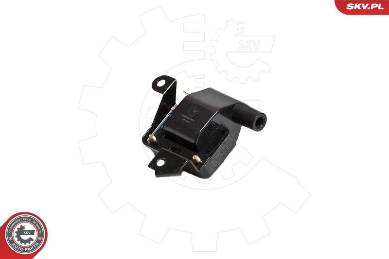 Ritė, uždegimas ESEN SKV 03SKV079