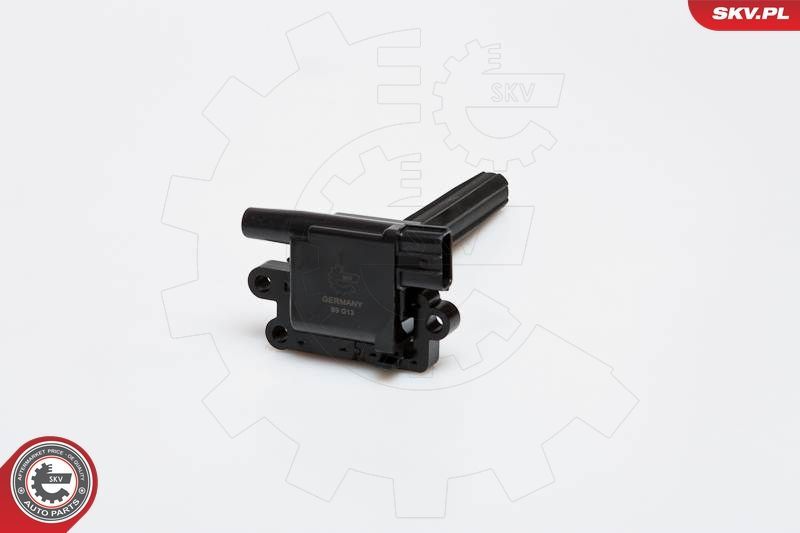 Ritė, uždegimas ESEN SKV 03SKV080