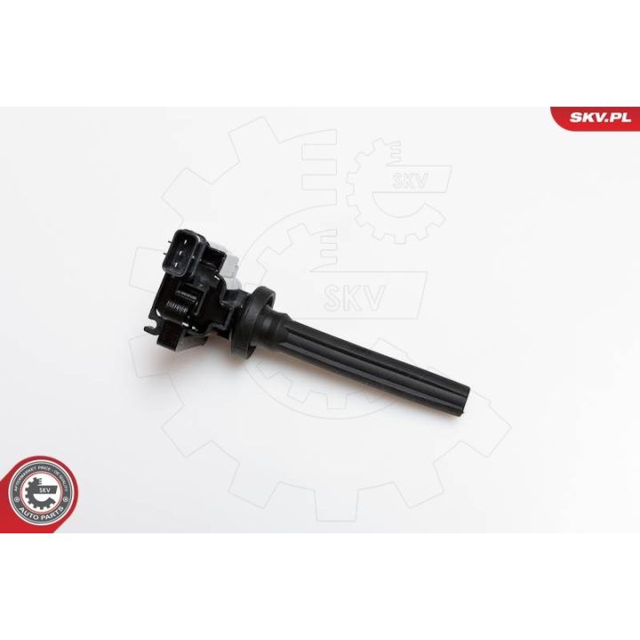 Ritė, uždegimas ESEN SKV 03SKV080