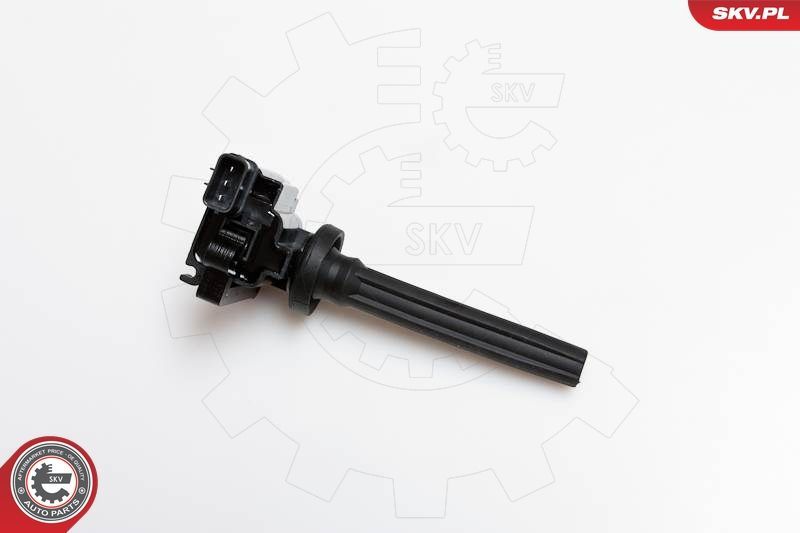 Ritė, uždegimas ESEN SKV 03SKV080