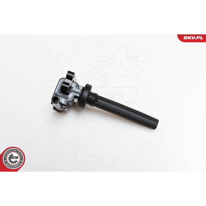 Ritė, uždegimas ESEN SKV 03SKV080