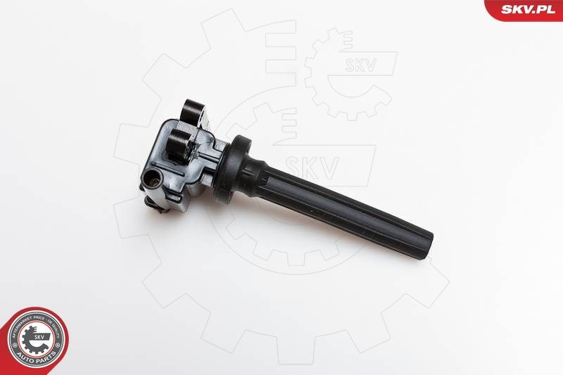 Ritė, uždegimas ESEN SKV 03SKV080