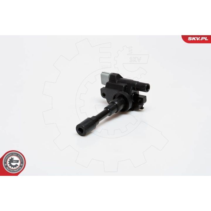 Ritė, uždegimas ESEN SKV 03SKV082