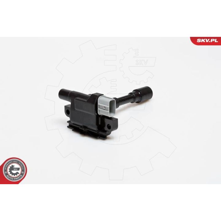 Ritė, uždegimas ESEN SKV 03SKV082