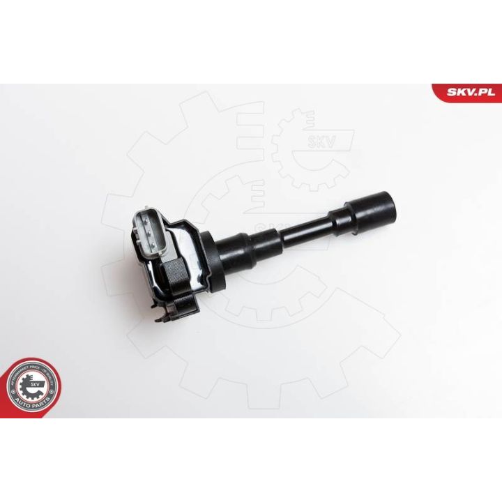 Ritė, uždegimas ESEN SKV 03SKV082